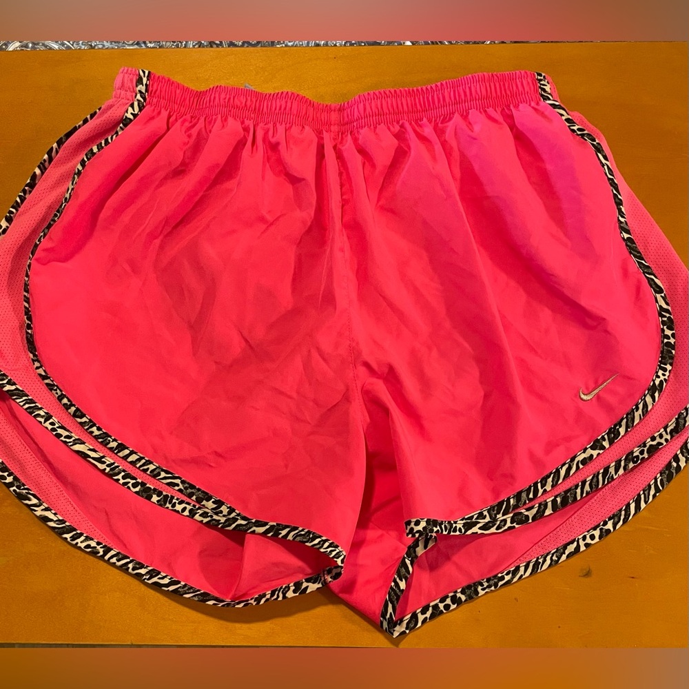 Nike Dryfit Shorts, Size Large